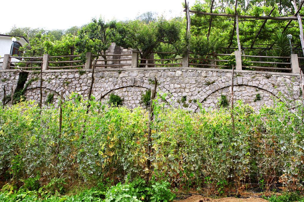 Il Raduno Alojamento de Turismo Rural