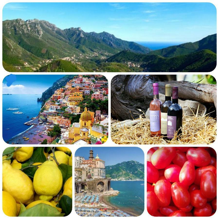 Il Raduno Alojamento de Turismo Rural *